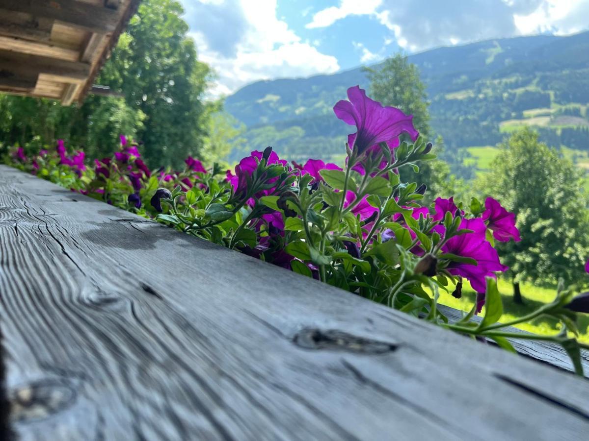 Ferienwohnung Gamsbock Panorama View Balkon, Gartensauna, Garten, Grillplatz シュトゥンム エクステリア 写真