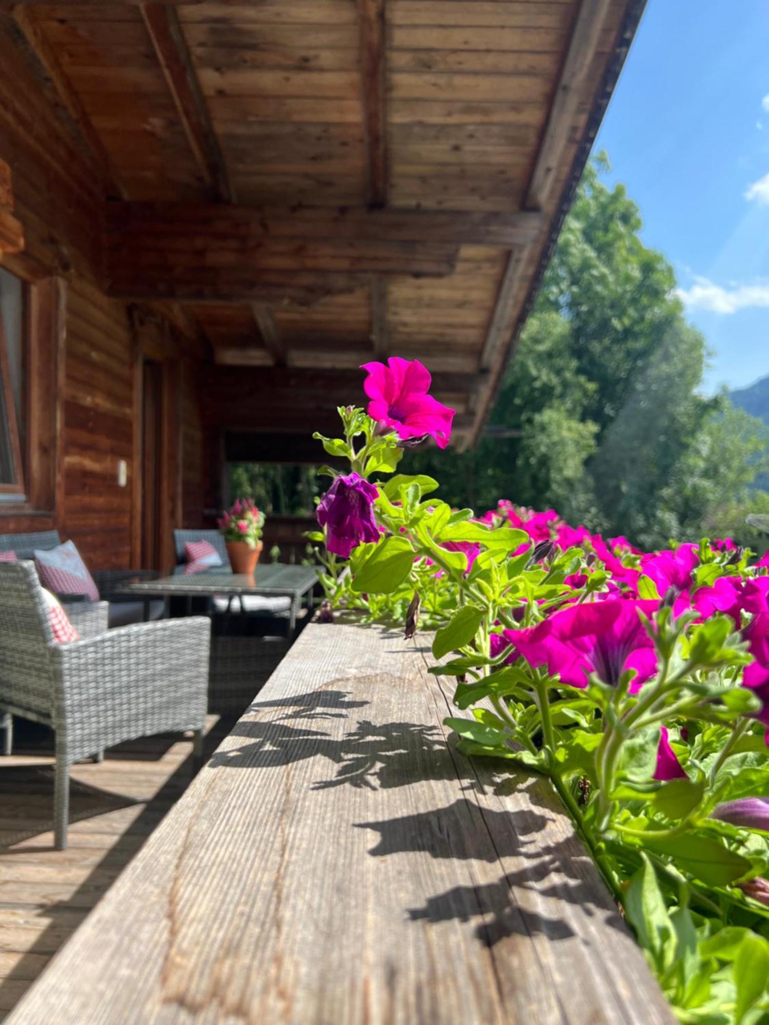 Ferienwohnung Gamsbock Panorama View Balkon, Gartensauna, Garten, Grillplatz シュトゥンム エクステリア 写真